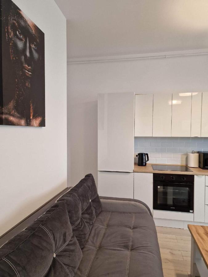 Cozy Corner Apartment Брашов Екстериор снимка